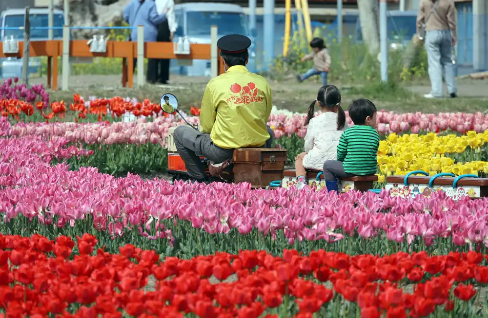 かがみ花フェスタチューリップまつり