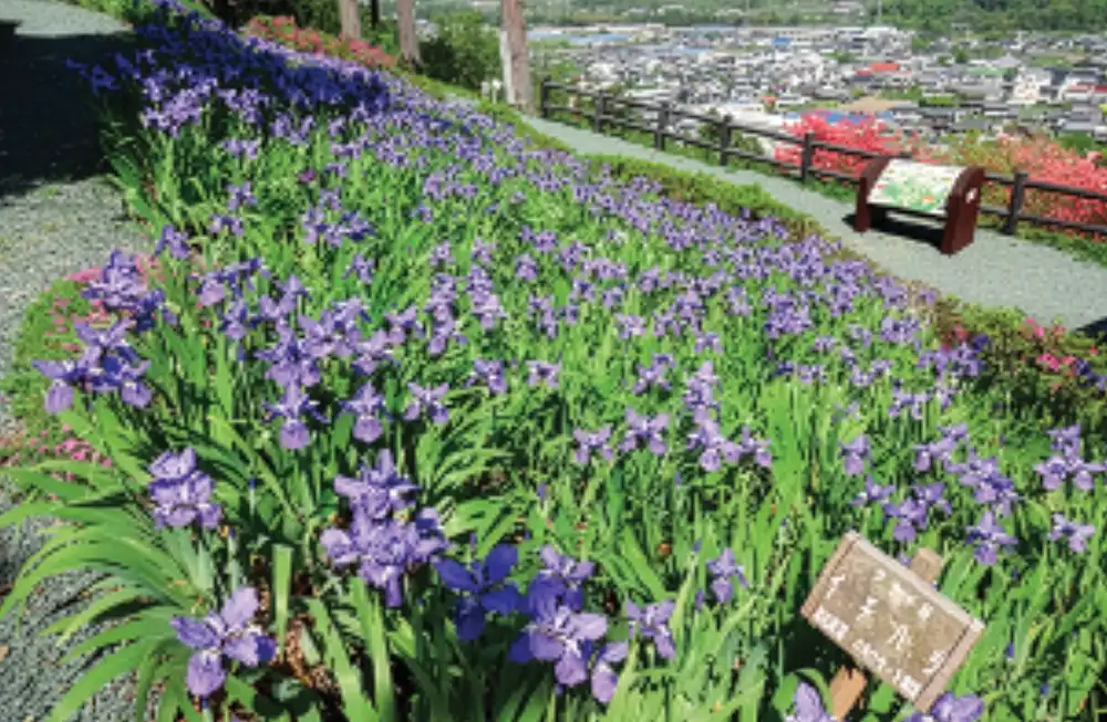 香北の自然公園