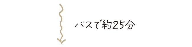 バスで約25分
