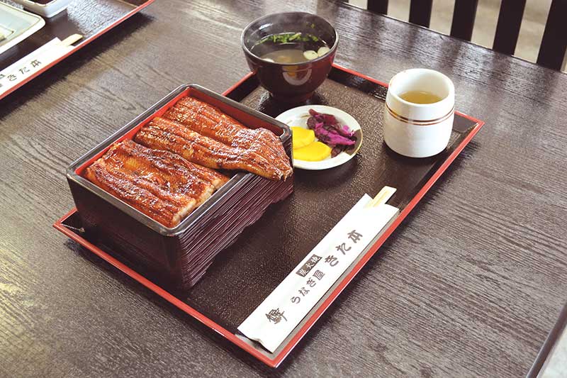 吉川町のウナギ